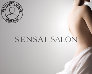 sm_vi_salon1 _no